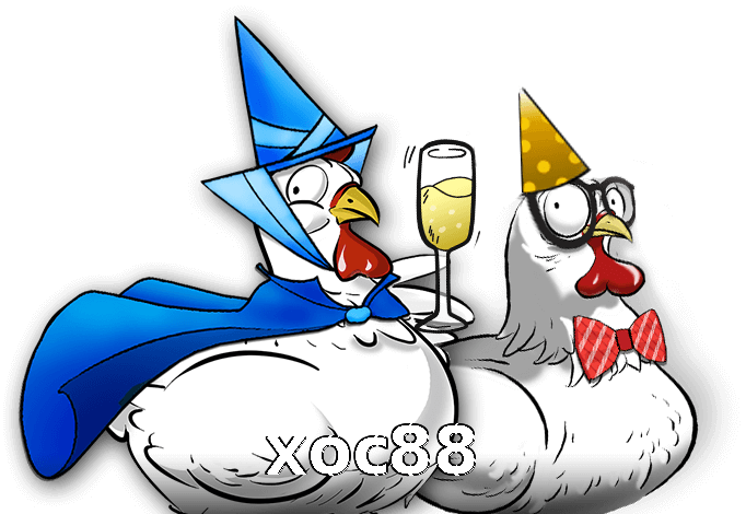 xoc88
