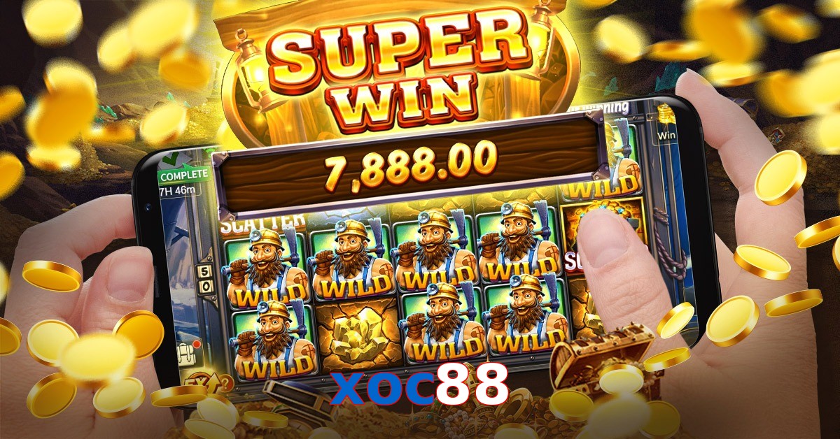 xoc88