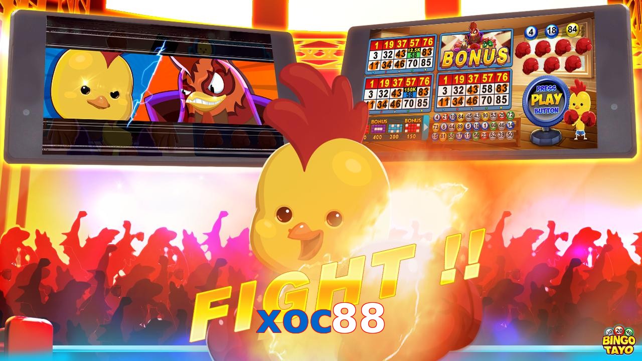 xoc88