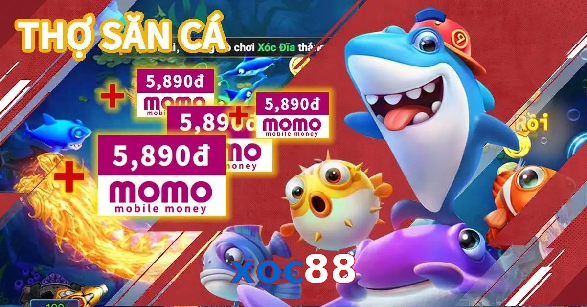 xoc88
