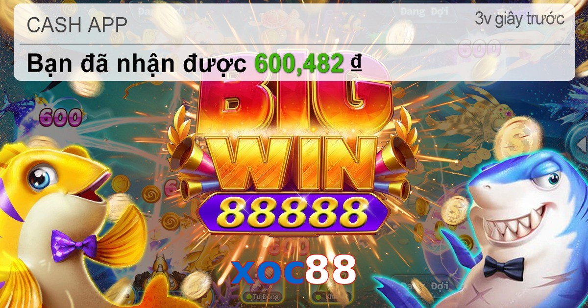 xoc88