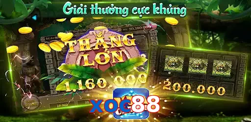 xoc88