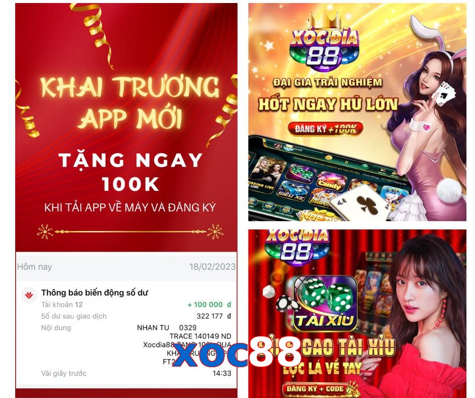 xoc88